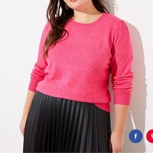 Loft Plus Hot Pink Sweater